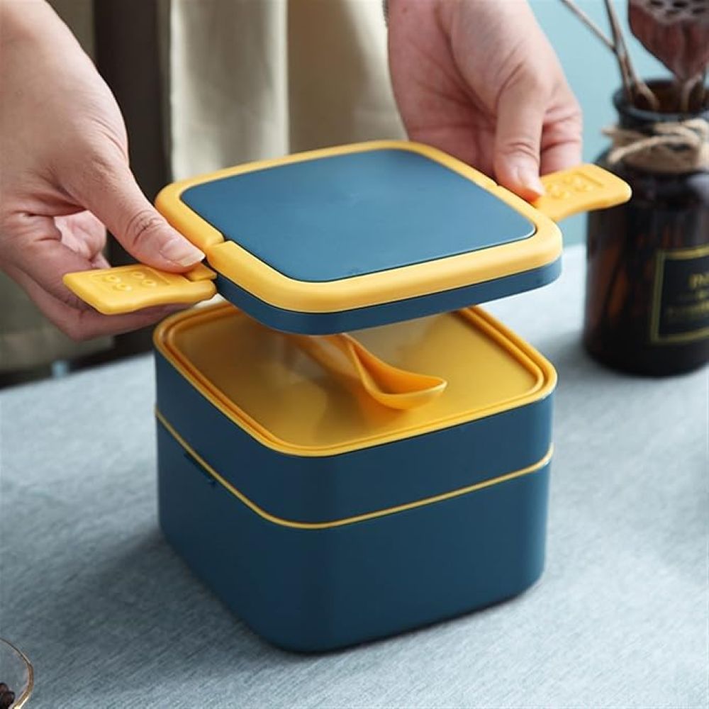 Bento Lunch Box for Kids | 2 Compartment Double-Layer Square Lunch Box with Handle | Insulated Lunch Box Stainless Steel Tiffin Box for Boys, Girls, School & Office