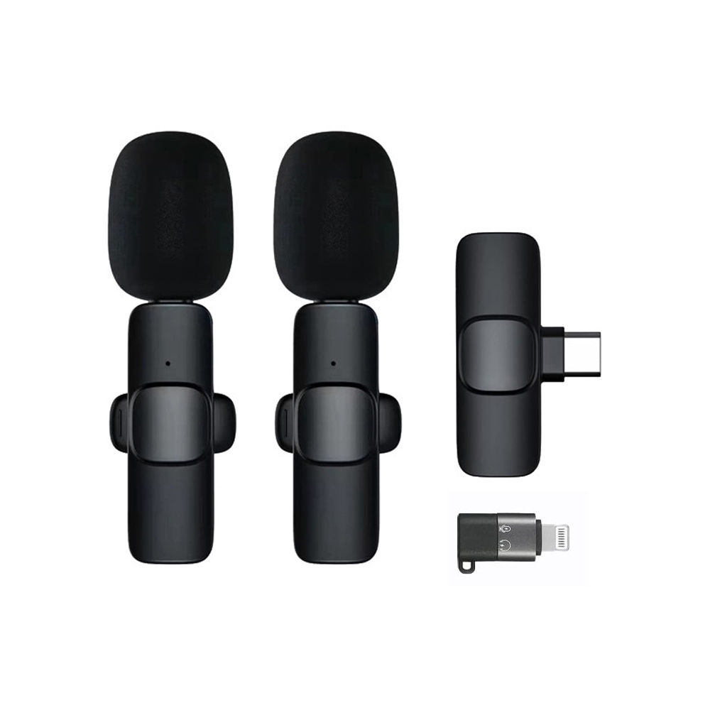 Wireless Dual Handheld Microphone