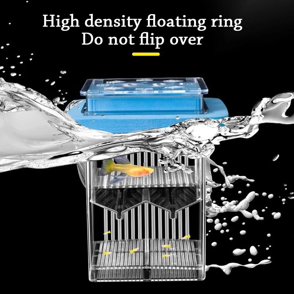 Durable Transparent Fish Breeder Box Square Clear Frame Aquarium Breeder Feeder Detachable Floating Floating Hatching Box Fish Tank