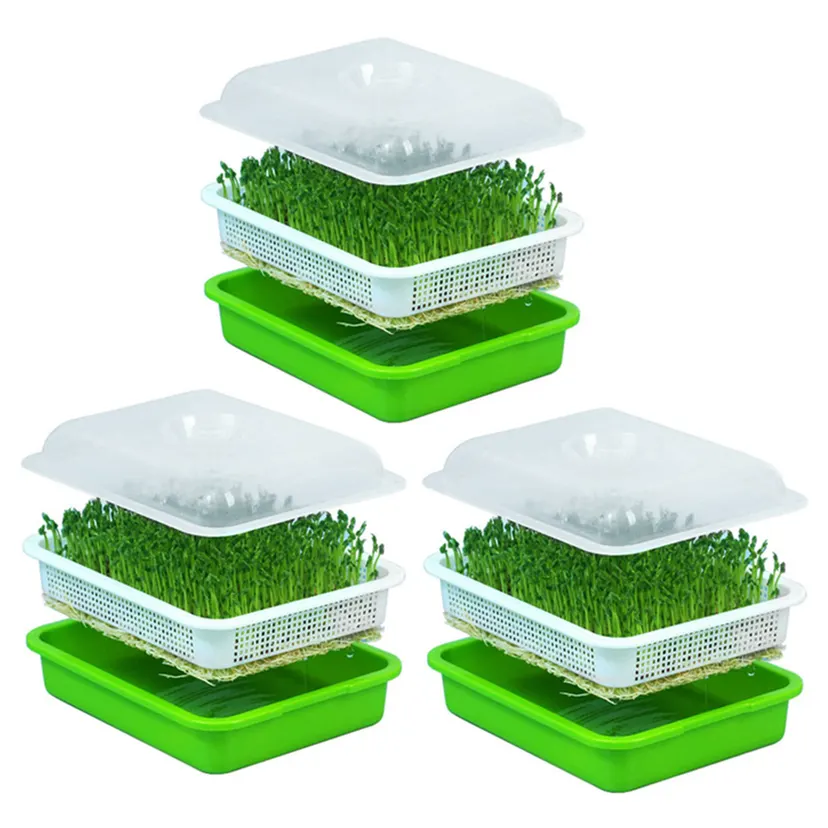 NAMUNY 3X Seed Tray with Lid Free Bean Sprout Grower Sprouting Seeds Tray, Dirt Free Way and Big Capacity