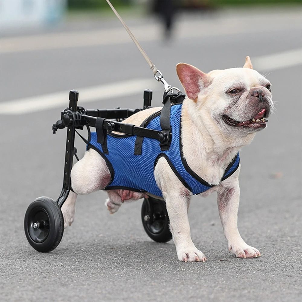 Mobility Assistance Adjustable Pet Walk Booster Durable Light Dog Wheelchair Cart Blue Walking Wheels Cat Recovery Aid Car Disability Dog